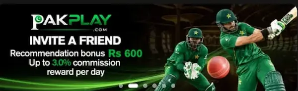 PakPlay Game